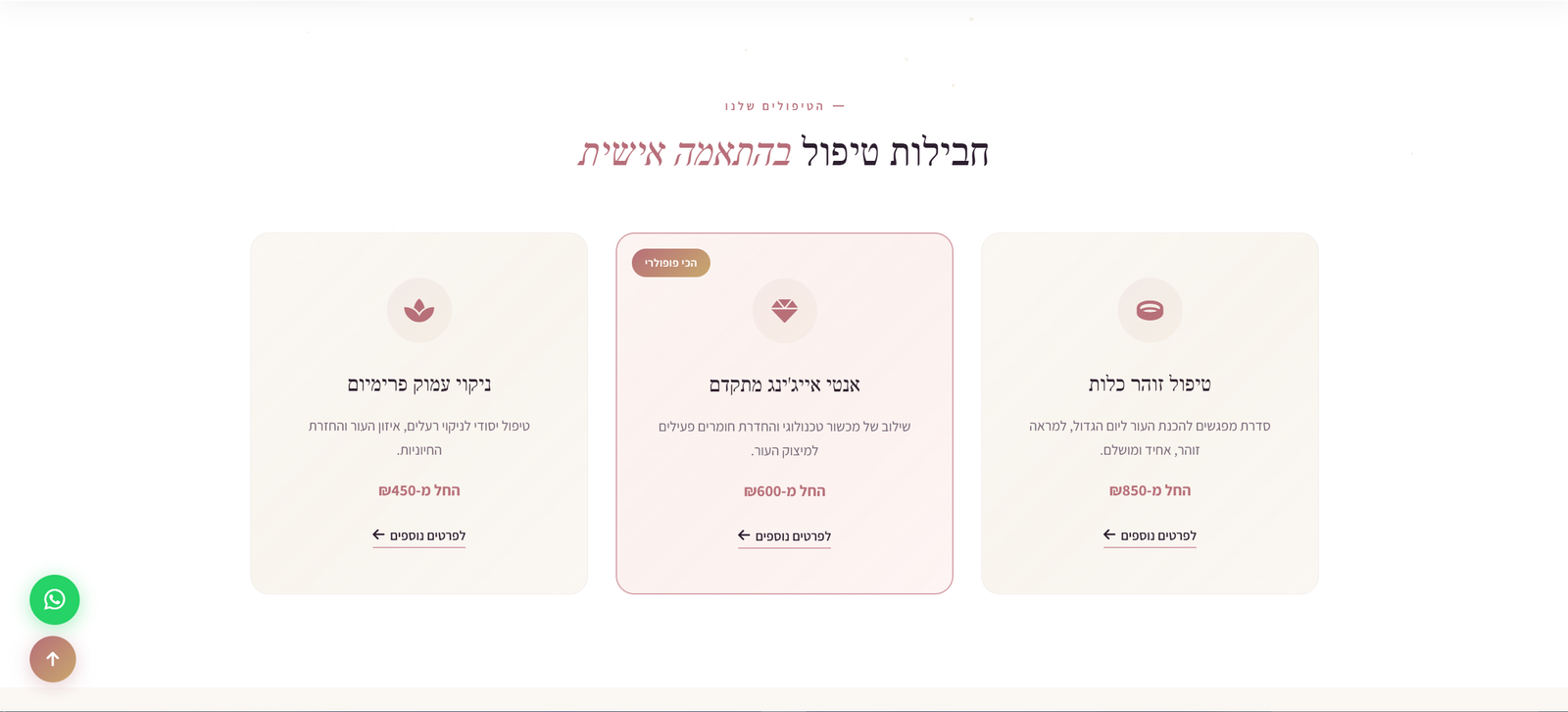הצגת שירותים